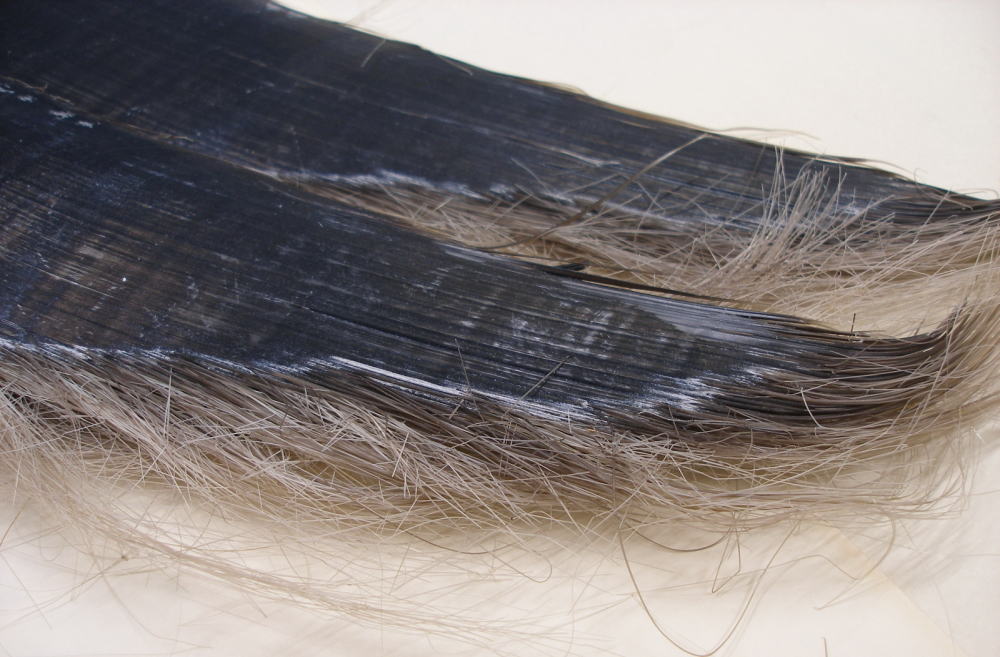イワシ鯨のひげ 鰯鯨髭 いわし鯨のヒゲ原材料